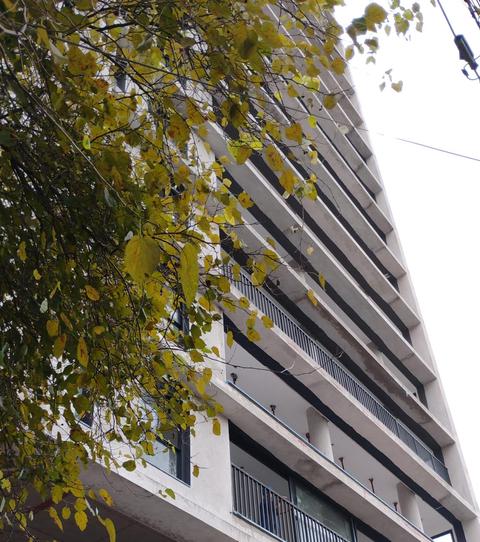 Foto da obra