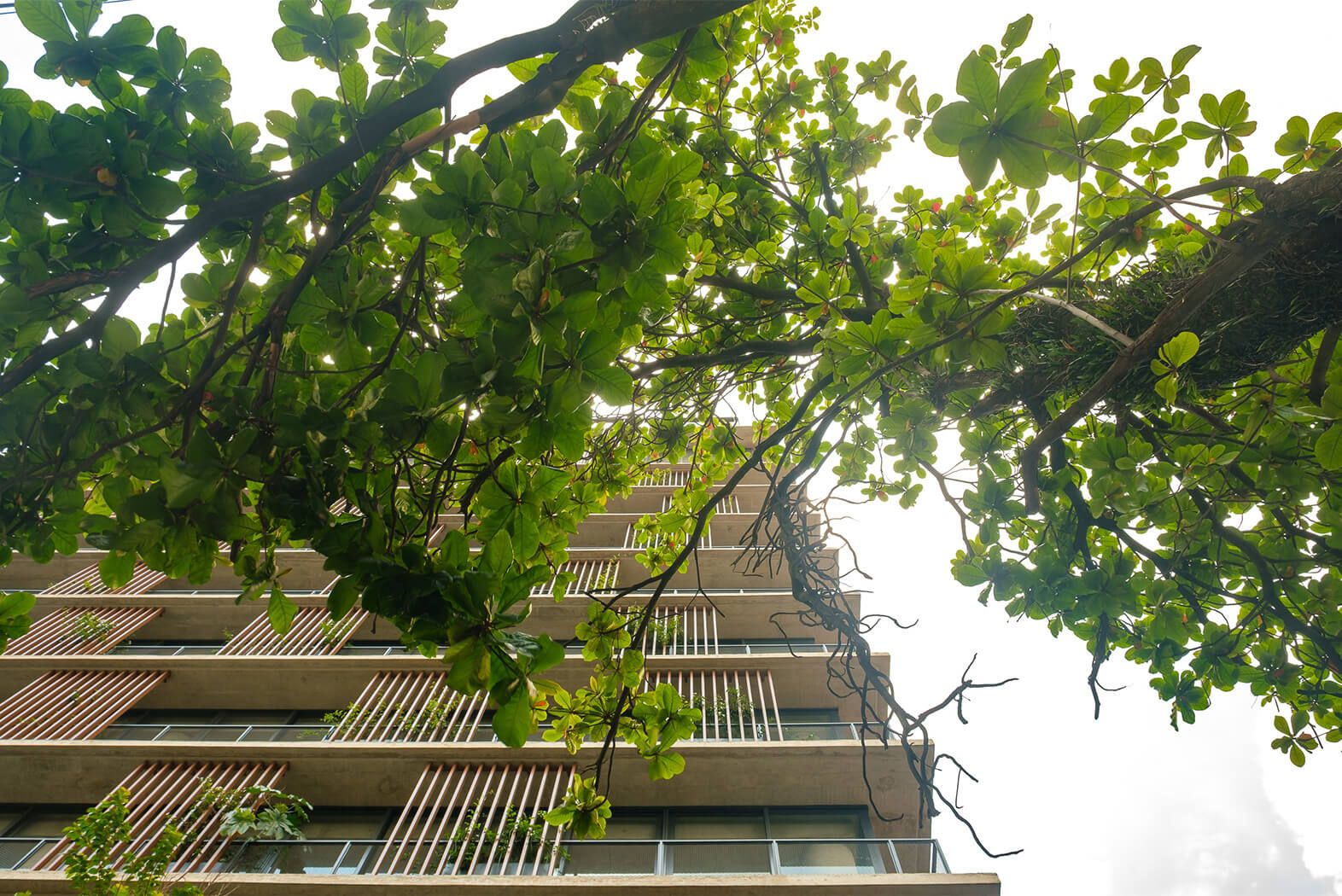Harmonia 1250 em Vila Madalena, São Paulo – foto 10