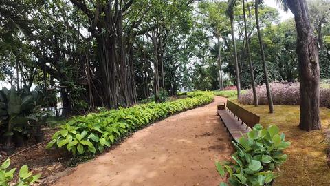 Bosque