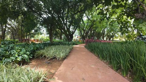Bosque