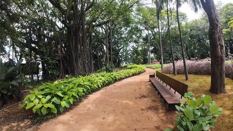 Bosque