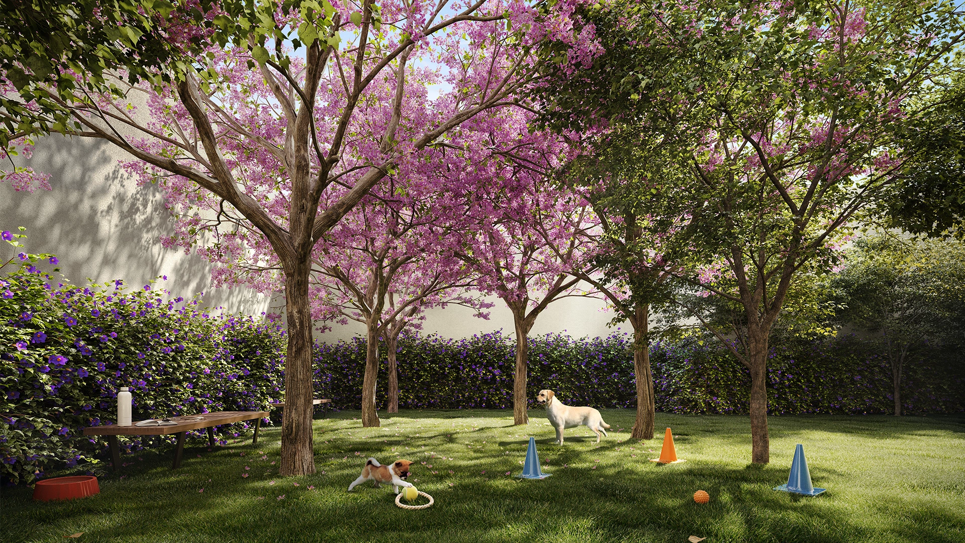 Sereno Jardim São Paulo em Jardim São Paulo, São Paulo – foto 11