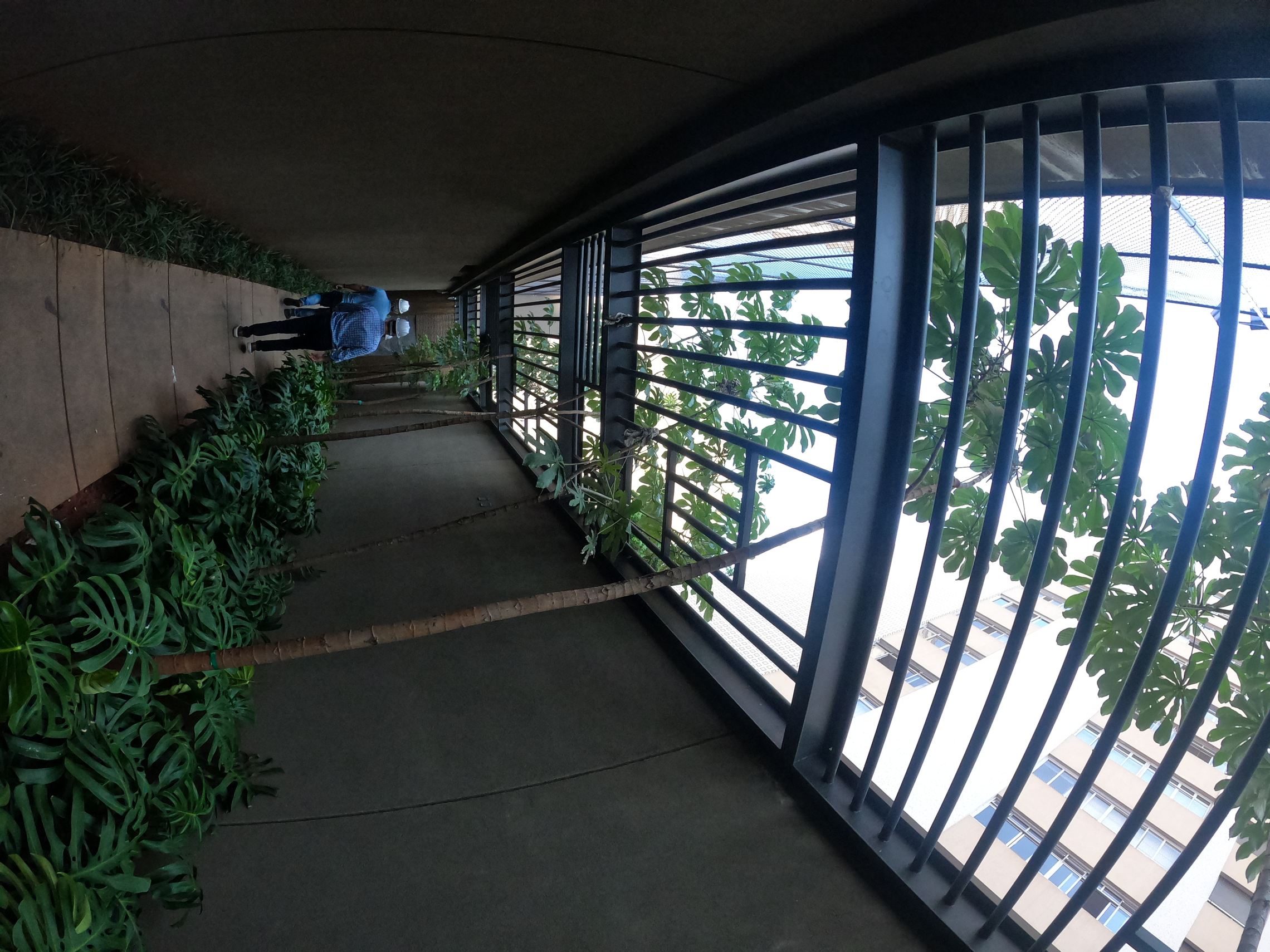 Arbórea Itaim em Itaim Bibi, São Paulo – foto 9