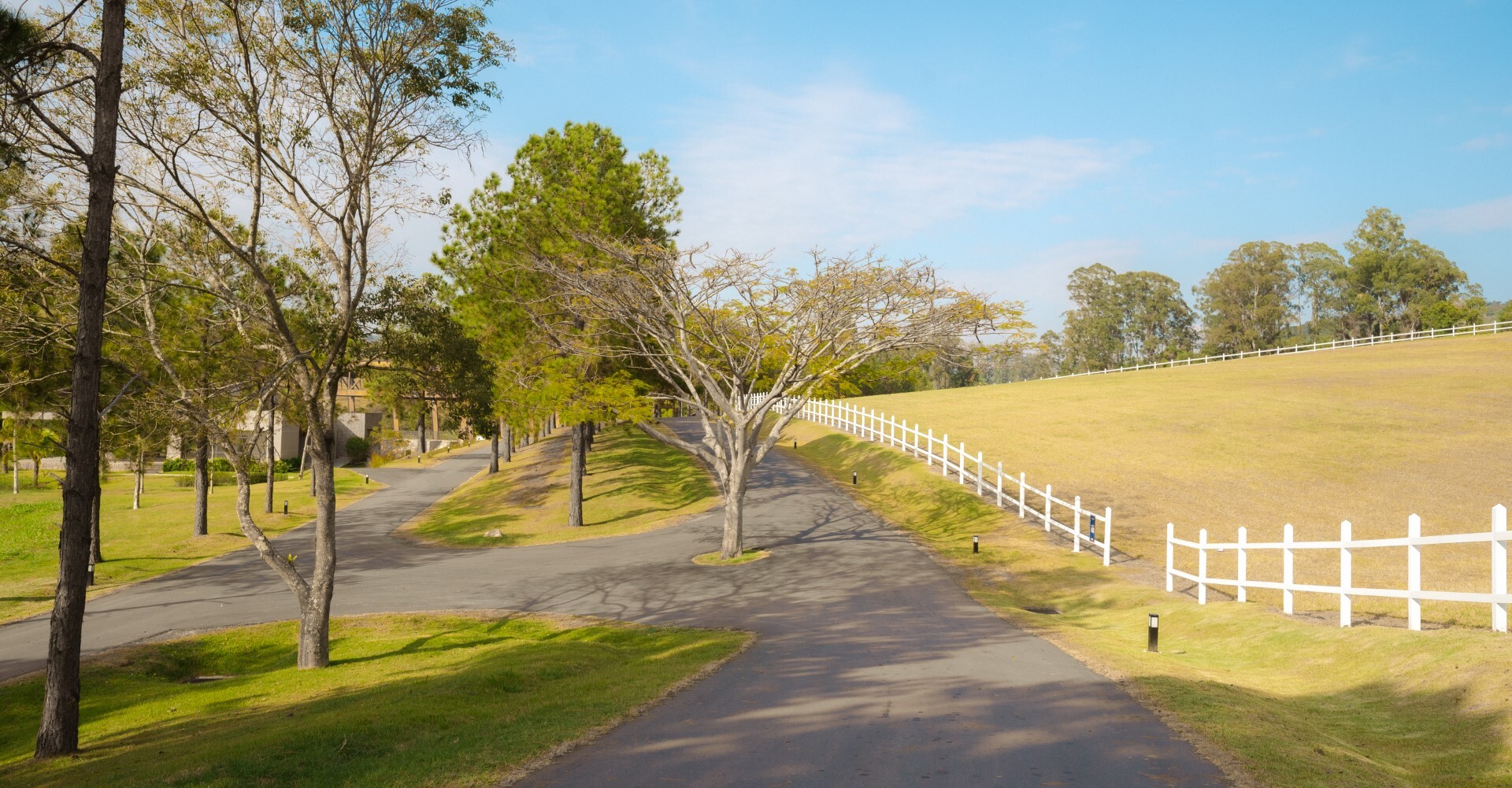 Haras La Estancia em Santana dos Cuiabanos, Valinhos – foto 11