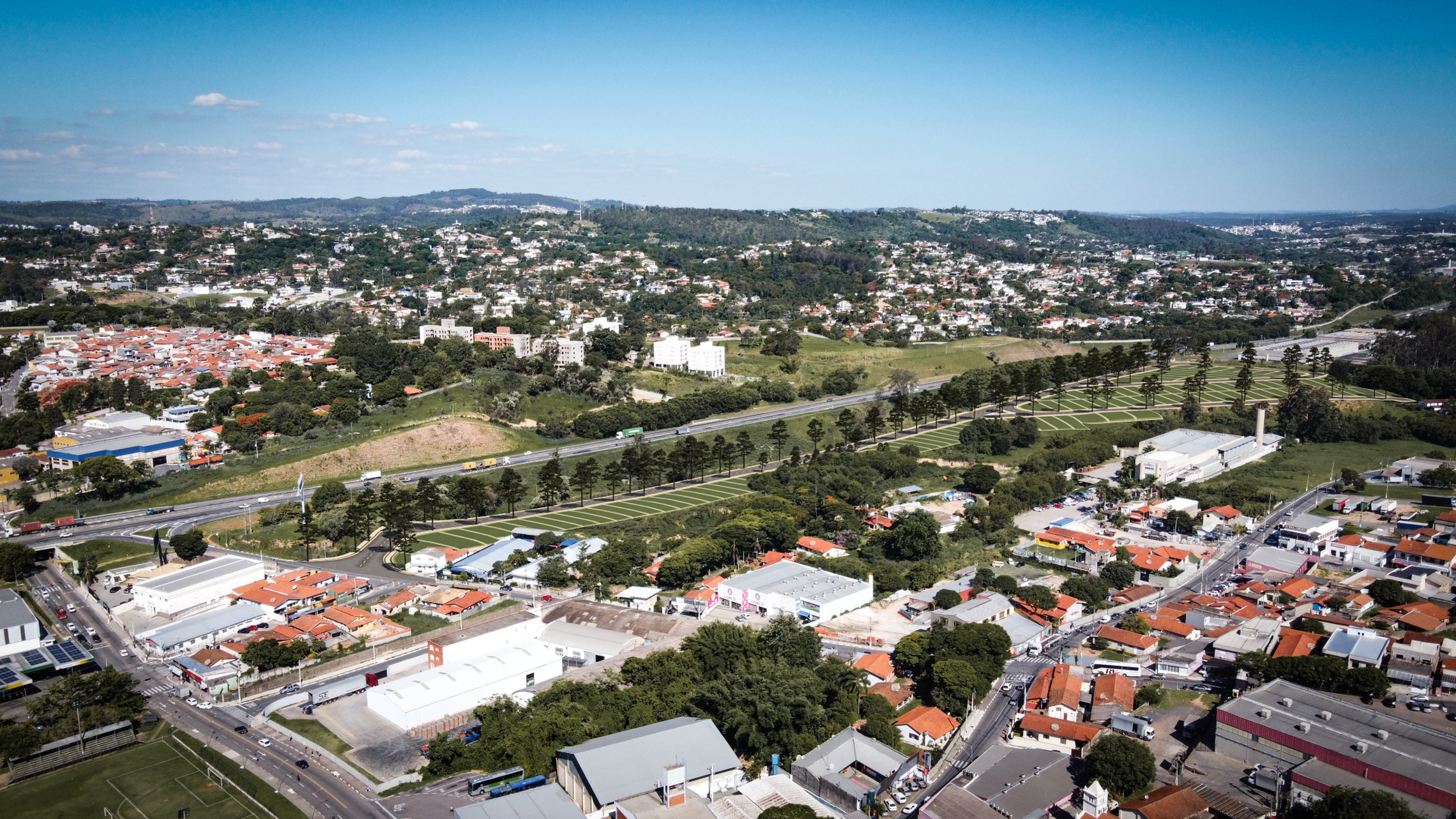 Turim em Capela, Vinhedo