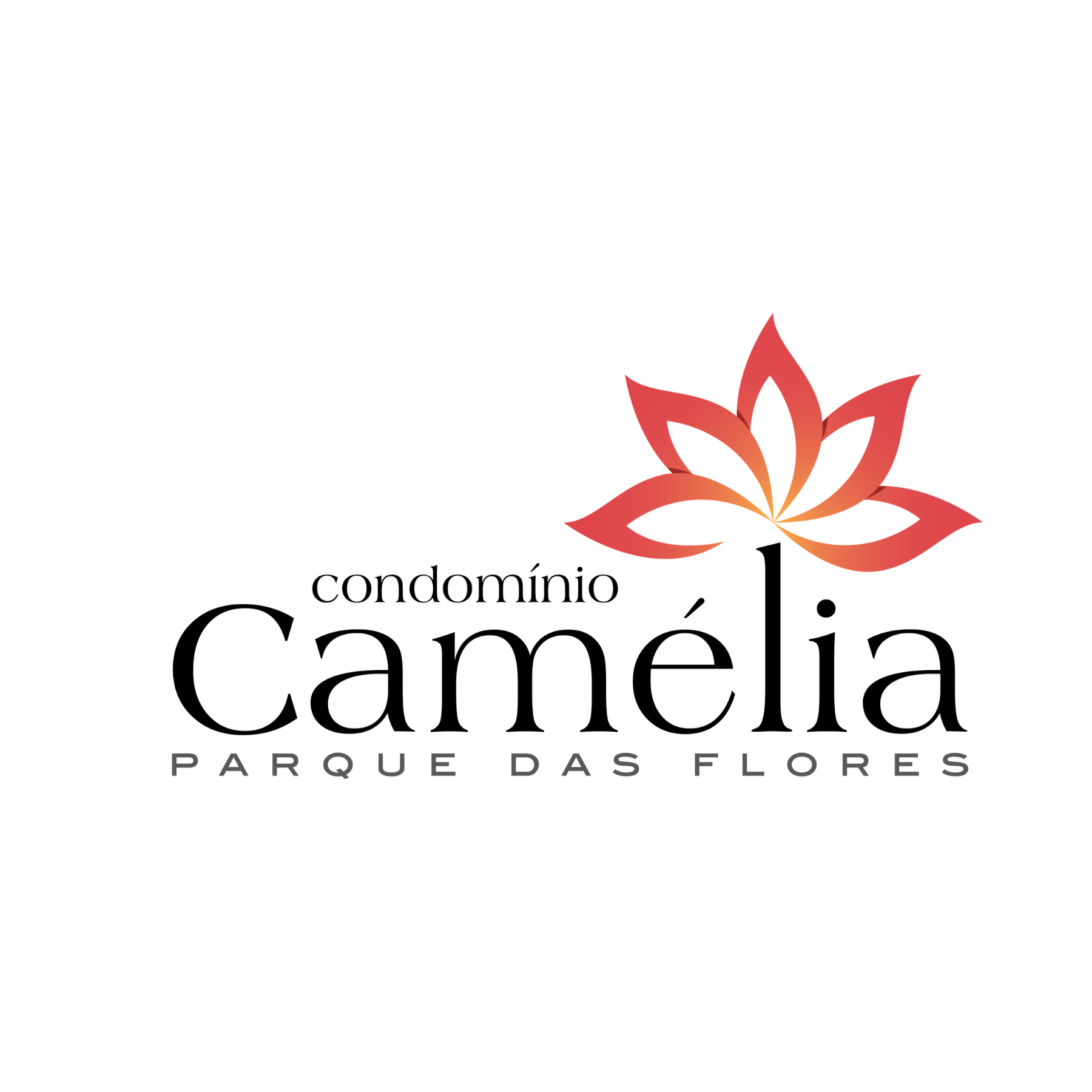 Camélia em Guaianases, São Paulo