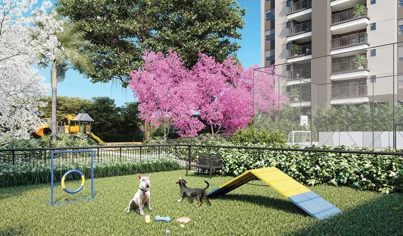 Gran Maia Piazza em Macedo, Guarulhos – foto 10
