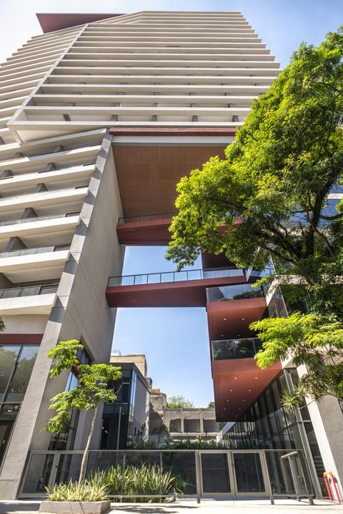 Foto da obra