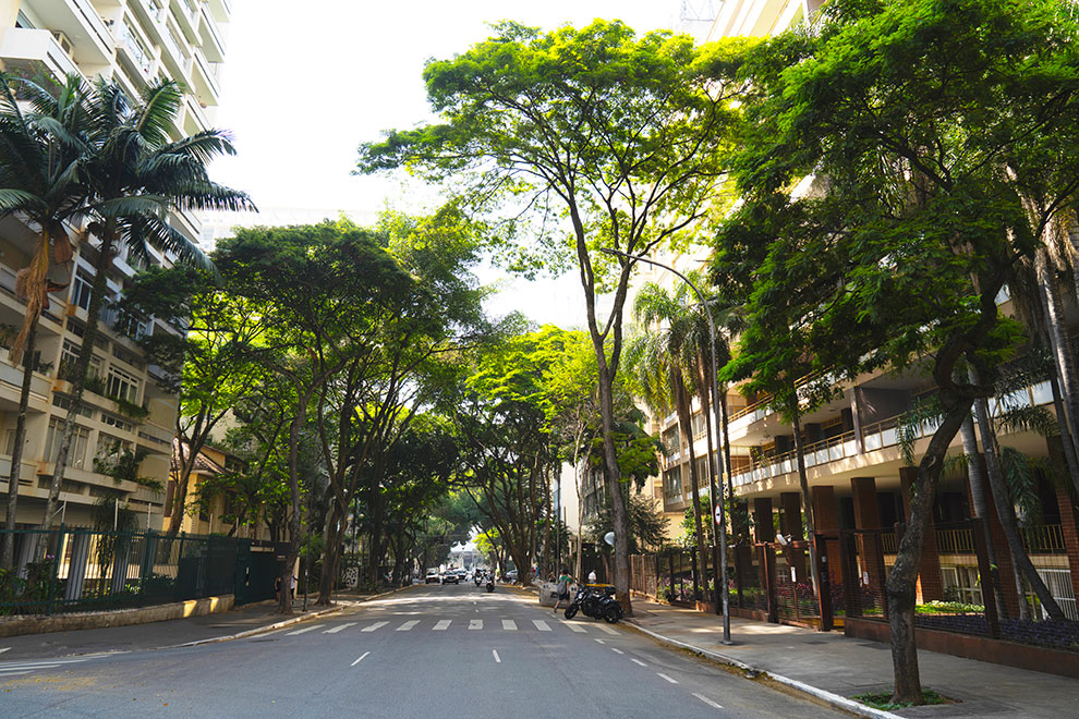 Praça Higienópolis Itambé em Higienópolis, São Paulo – foto 20