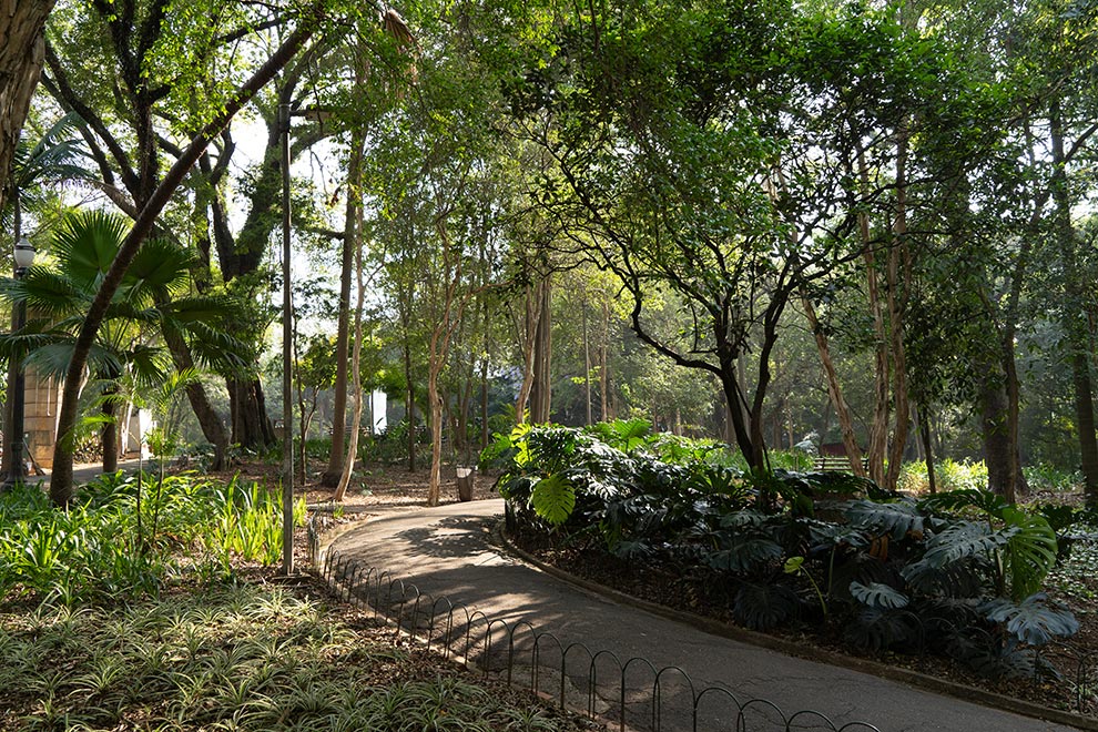 Praça Higienópolis Itambé em Higienópolis, São Paulo – foto 18