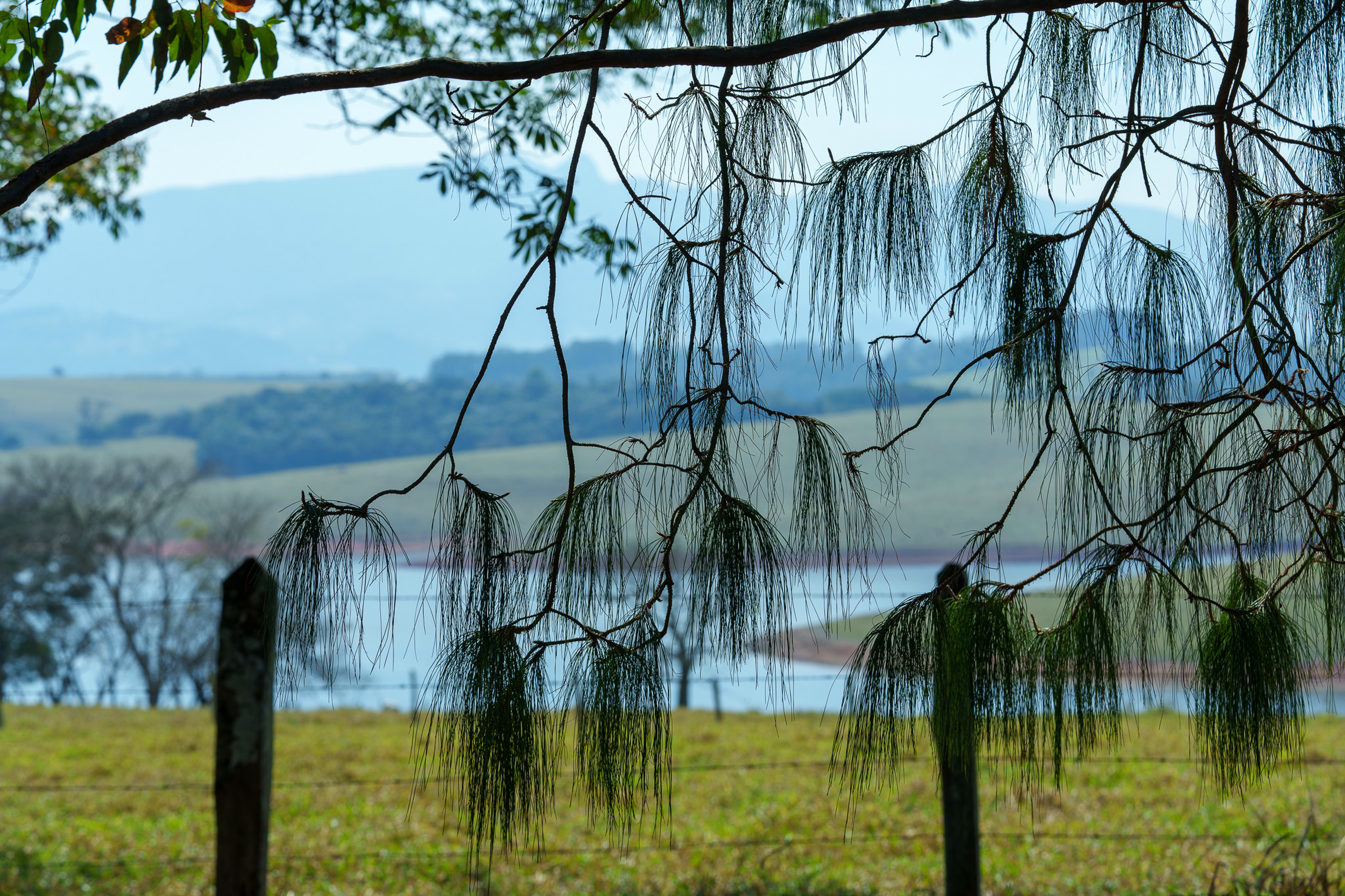 Terras de Santa Maria Piracaia em Boa Vista, Piracaia – foto 22