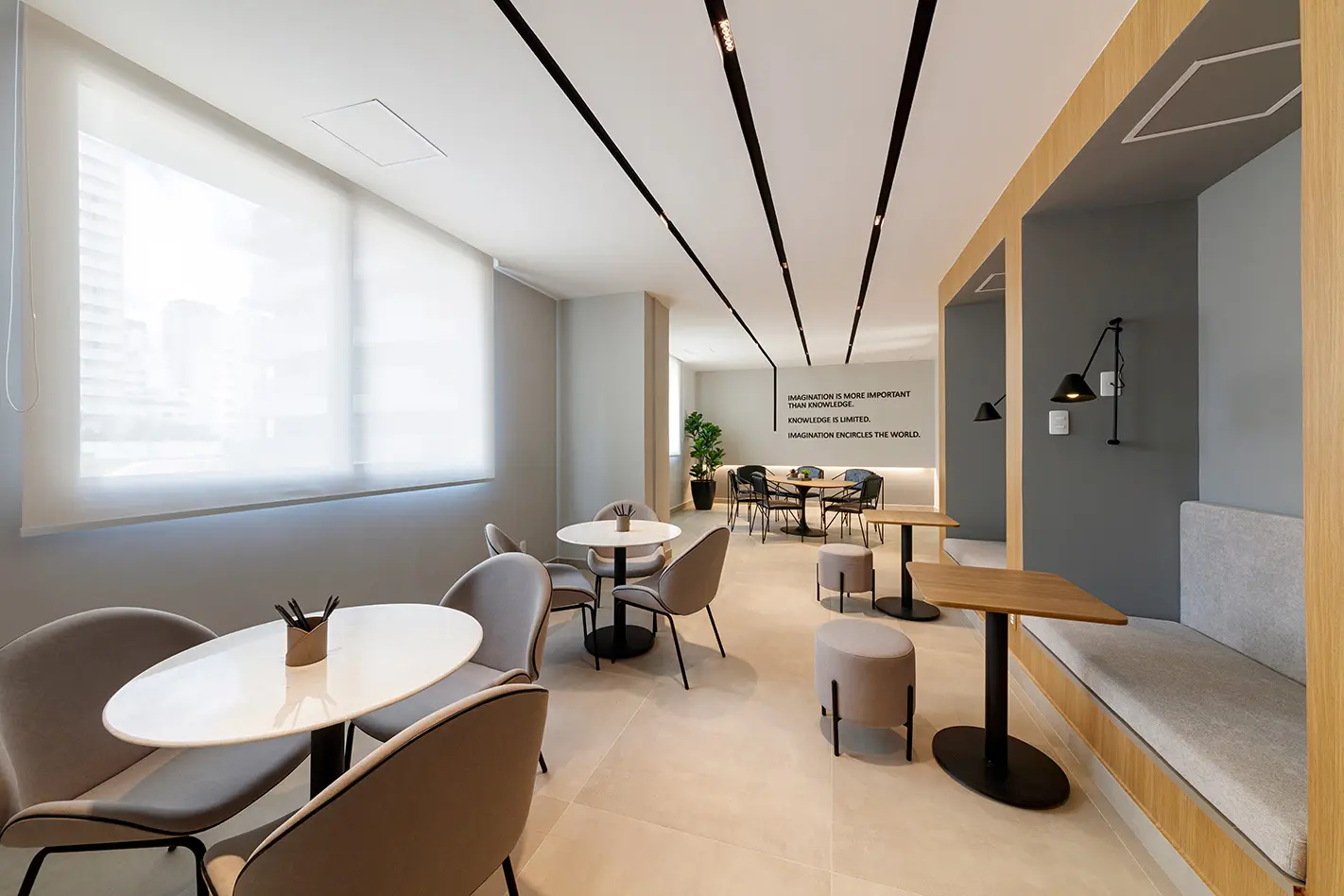 Nex One Teodoro - foto 2