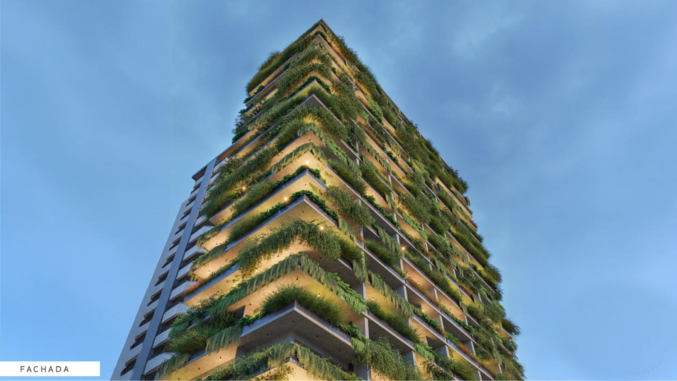 Pintassilgo 336 NR em Moema, São Paulo – foto 4