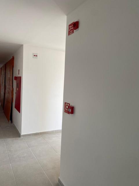 Foto da obra
