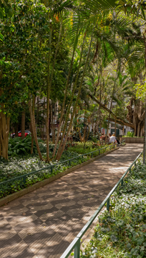 Havva Higienópolis em Higienópolis, São Paulo – foto 15