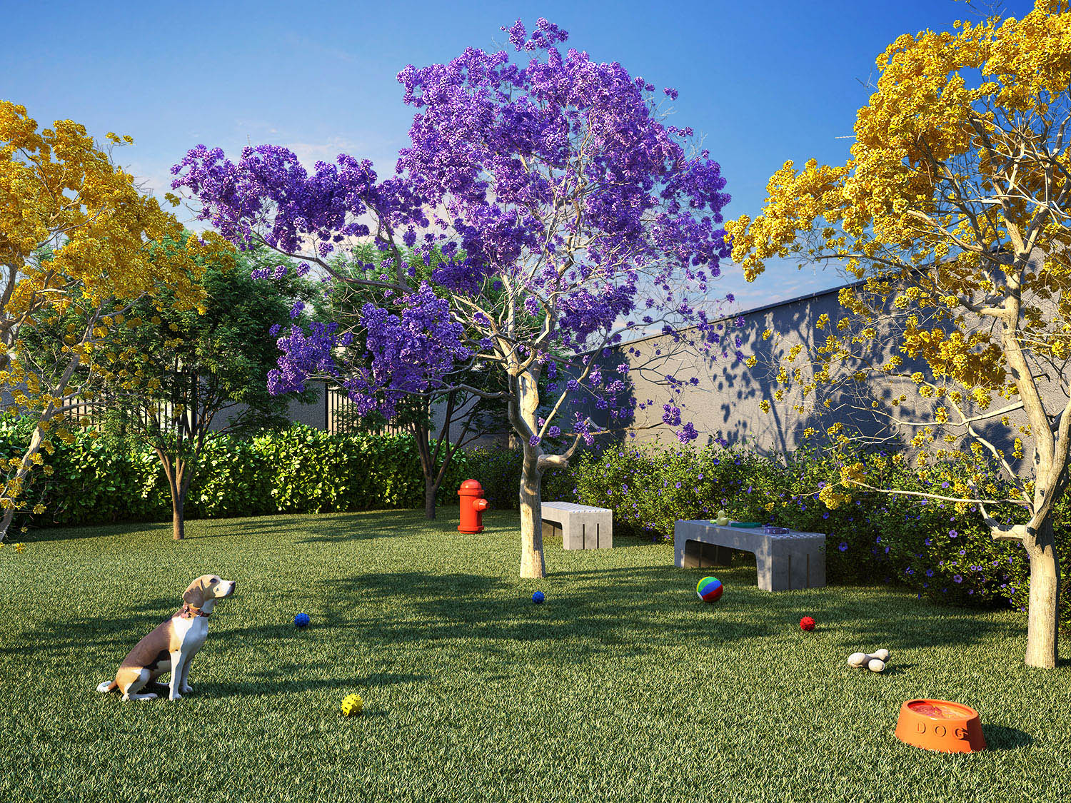 Kazzas Park Nova Atlântica em Socorro, São Paulo – foto 13