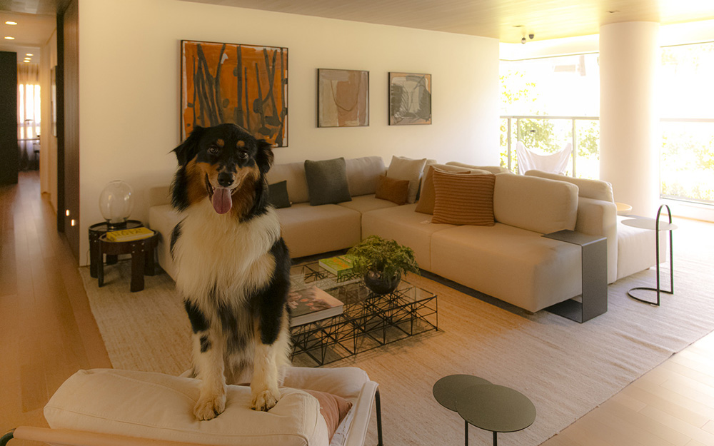Portugal 587 em Brooklin, São Paulo – foto 14
