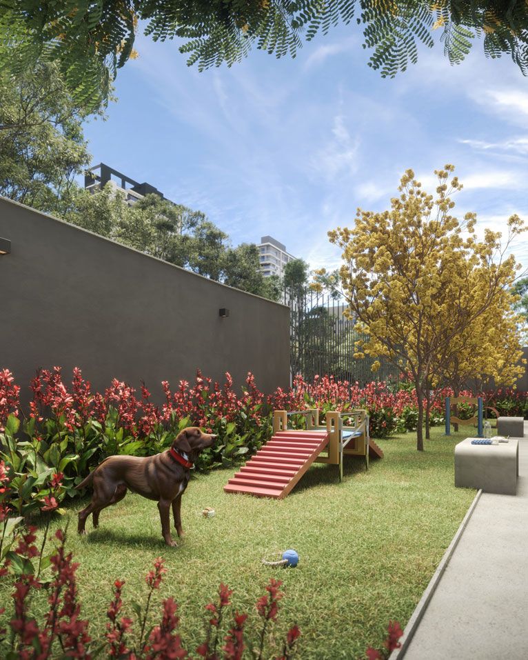 Today Paraíso em Paraíso, São Paulo – foto 10