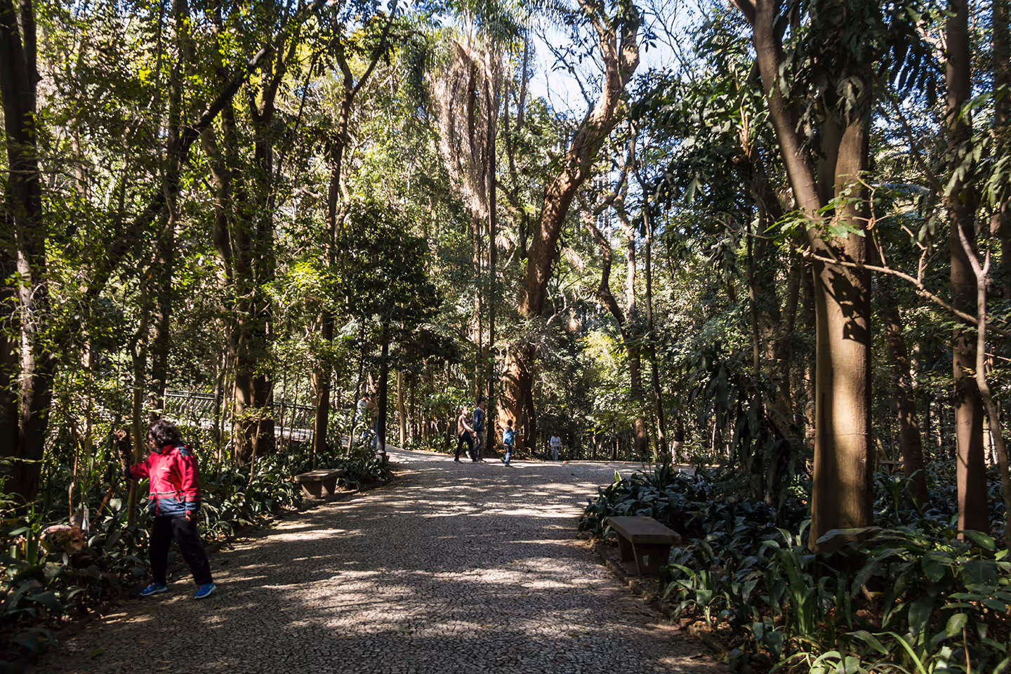 Alameda 45 em Paraíso, São Paulo – foto 42