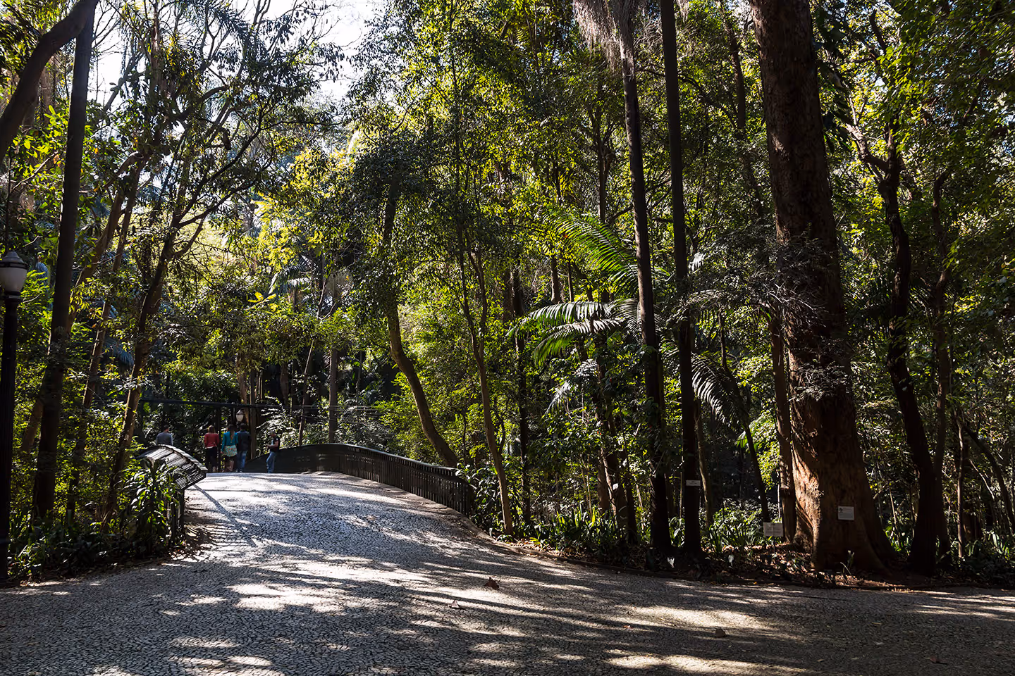 Alameda 45 em Paraíso, São Paulo – foto 43
