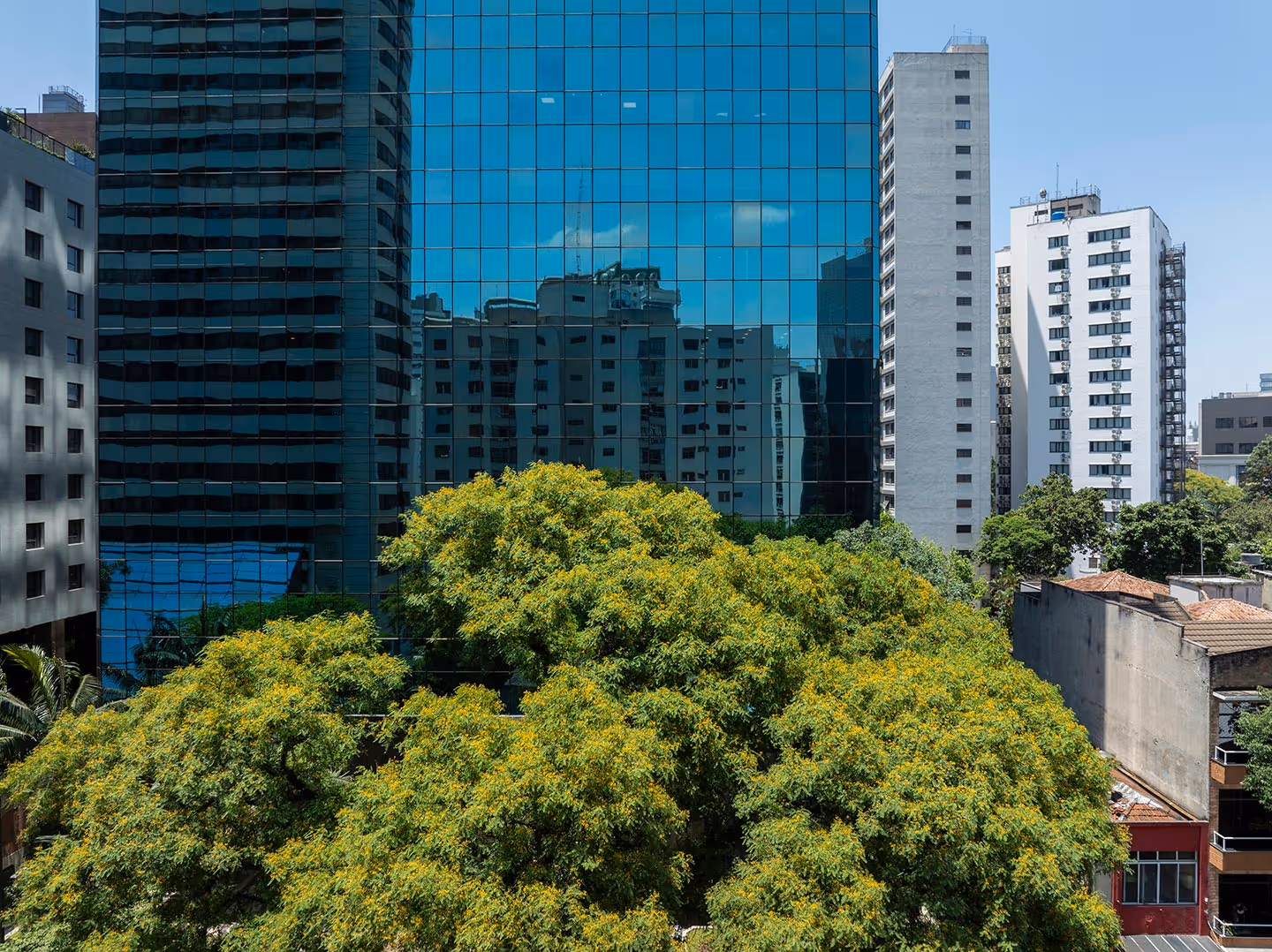 Alameda 45 em Paraíso, São Paulo – foto 57