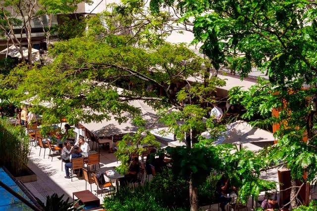 Albero em Itaim Bibi, São Paulo – foto 40