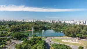 Albero em Itaim Bibi, São Paulo – foto 36