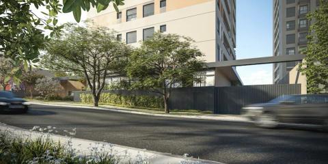 Viccino em Mirandópolis, São Paulo - foto 5